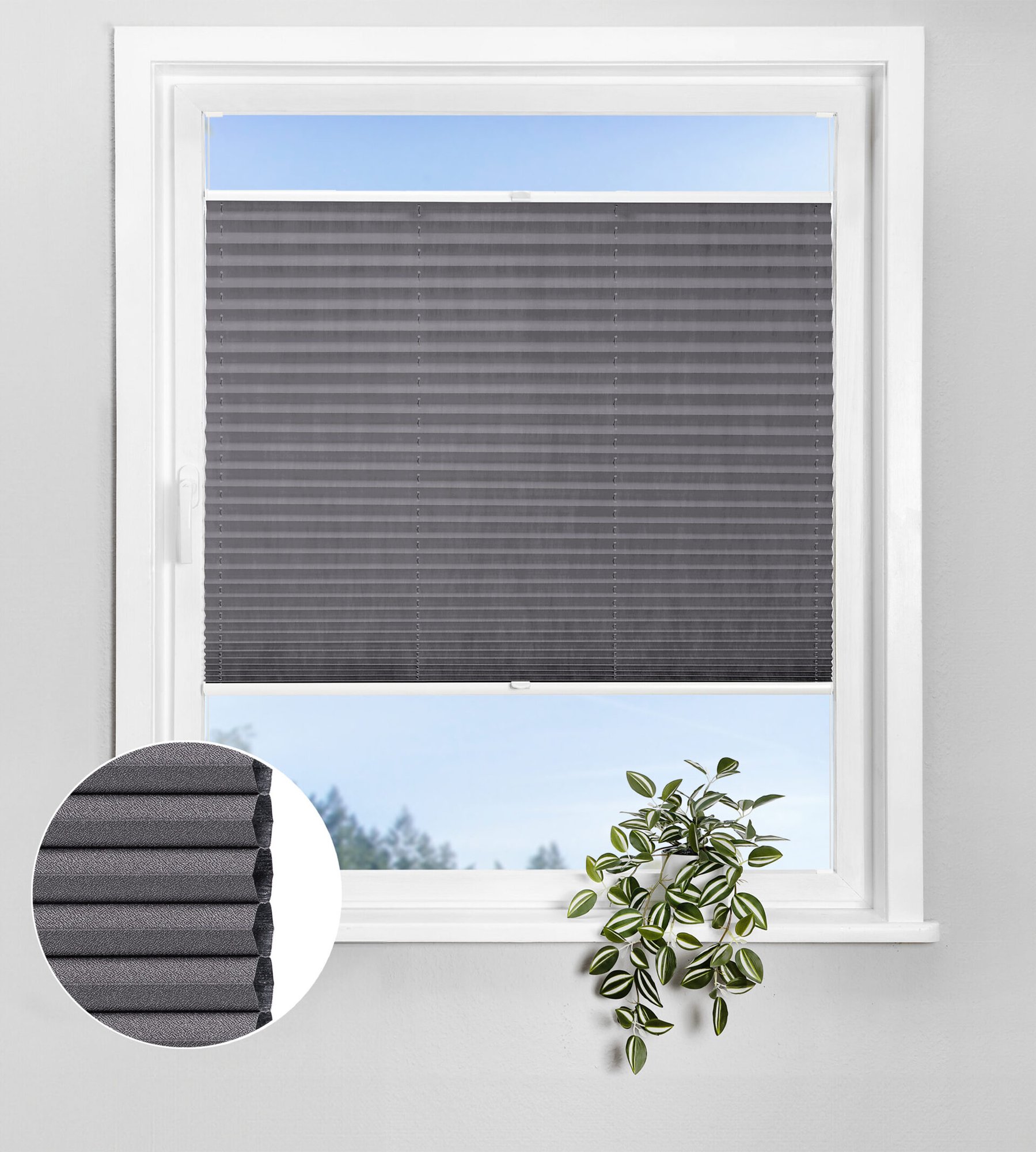 Wabenplissee Lunaris