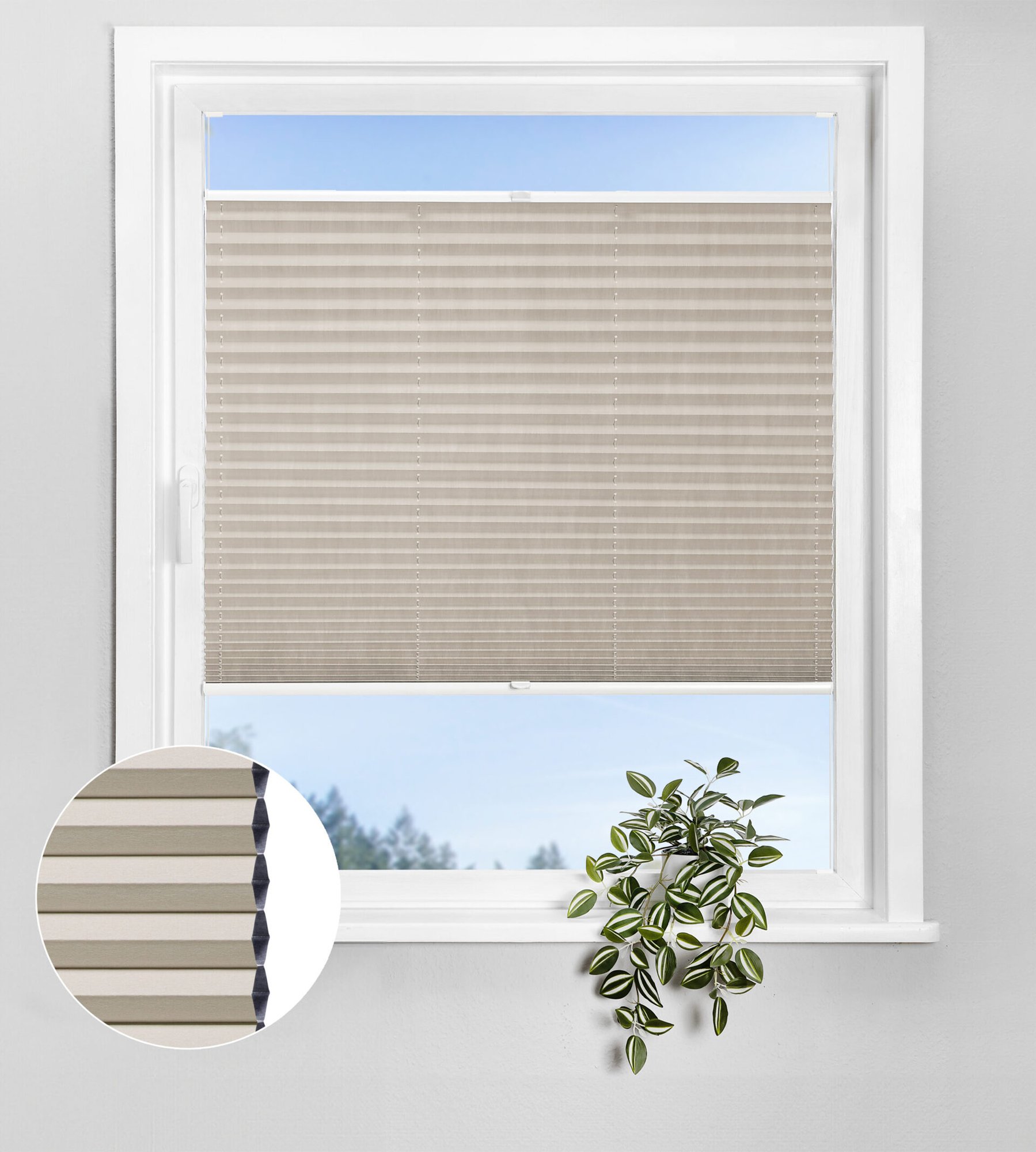 Wabenplissee Lunaris