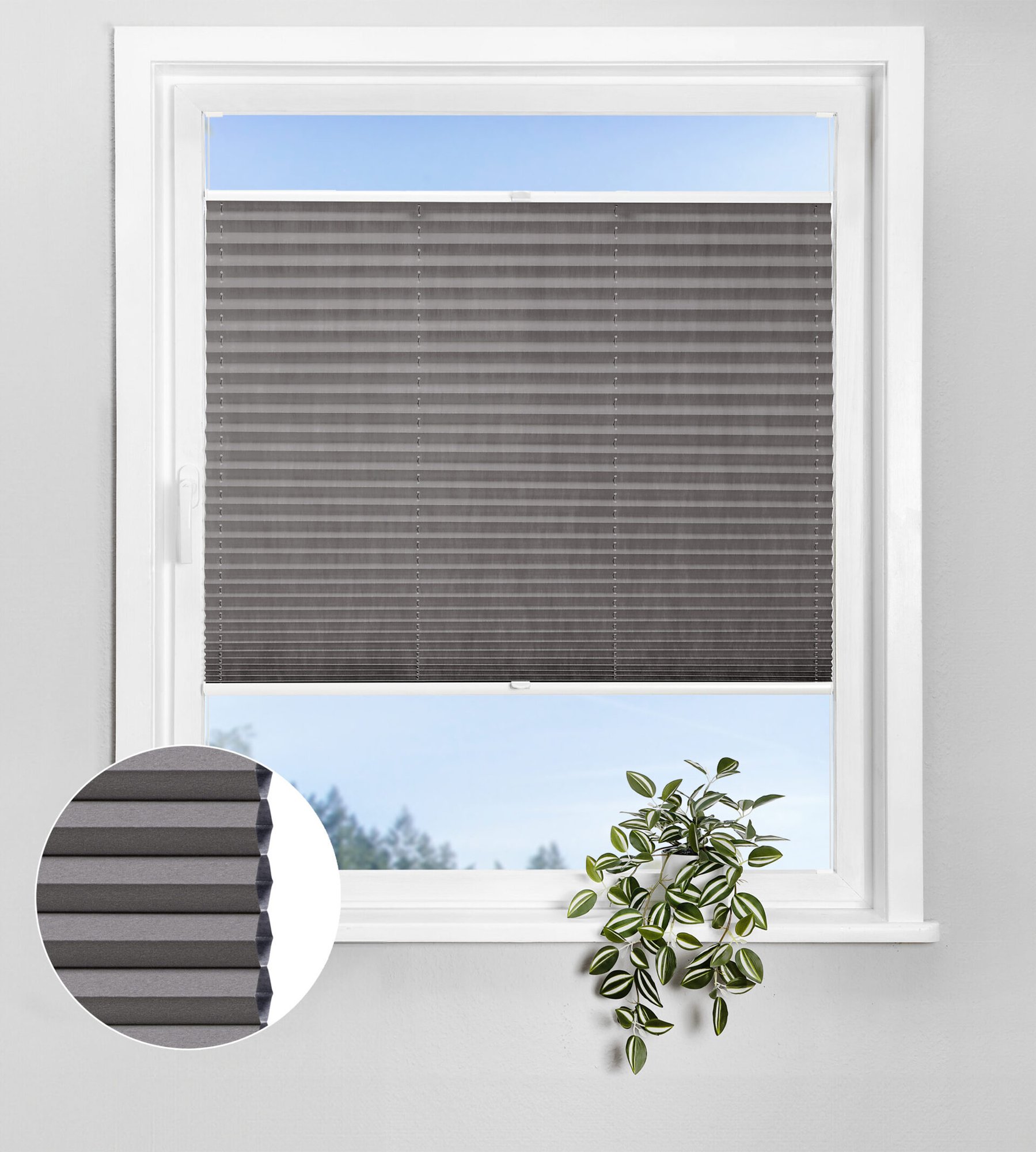 Wabenplissee Lunaris