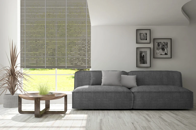 AN-51_50-bamboo-50-ver-2-scaled-1