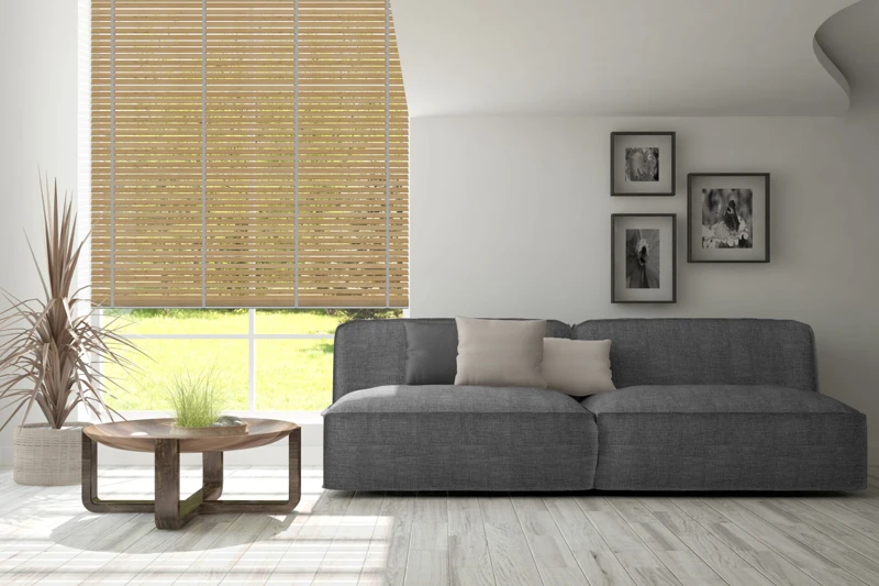 AN-83_50-bamboo-50-ver-2-scaled-1