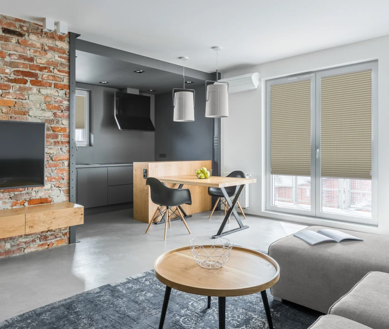 Apartment with open kitchen