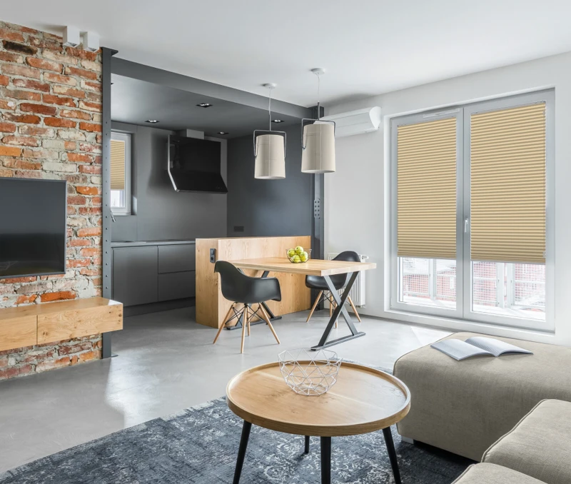 Apartment with open kitchen